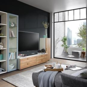 8_Omlin-801044.jpg