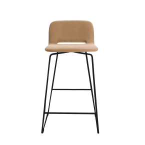 PAMP-C16__01[1].png