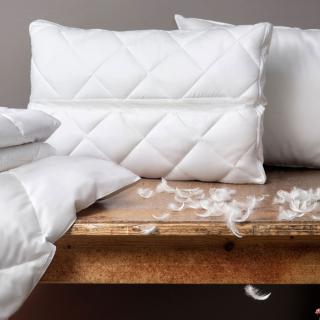 Coussins & duvets