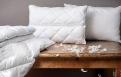 Coussins & duvets
