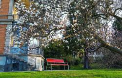 Bancs de jardin